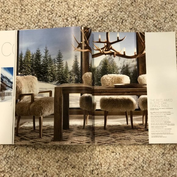 Restoration Hardware Ski & Beach House - Picture 8 of 16